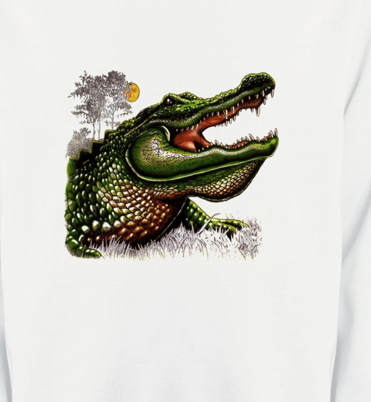 Crocodile (C)