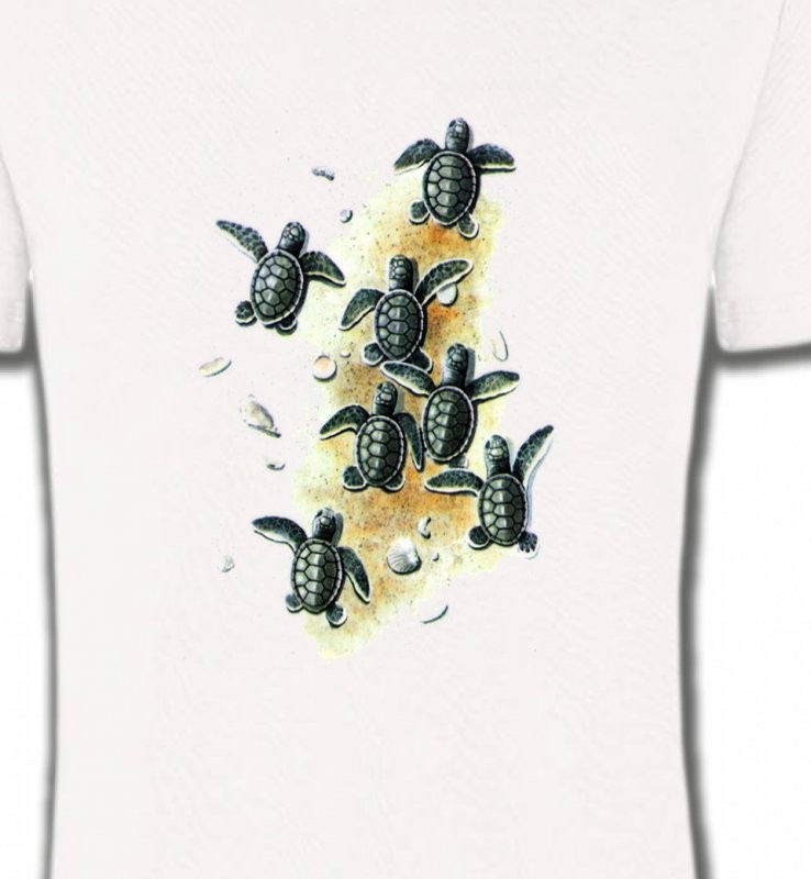 Bébés tortues