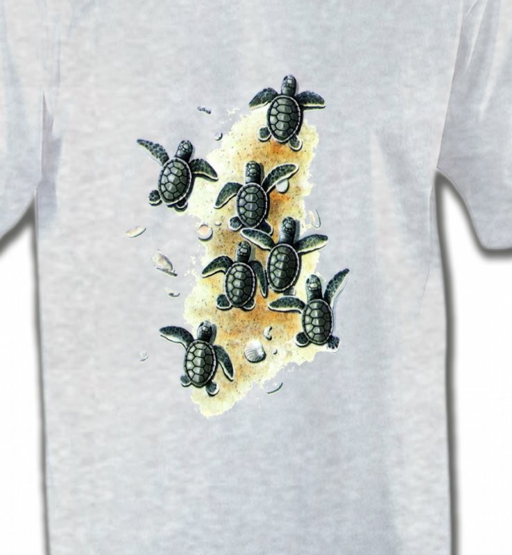 Bébés tortues