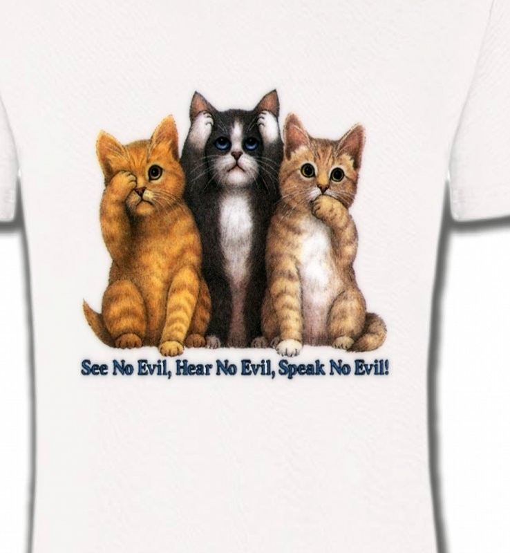 Chatons humour (I)