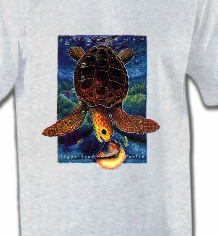 Tortue au fond de la mer