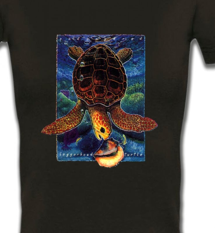 Tortue au fond de la mer