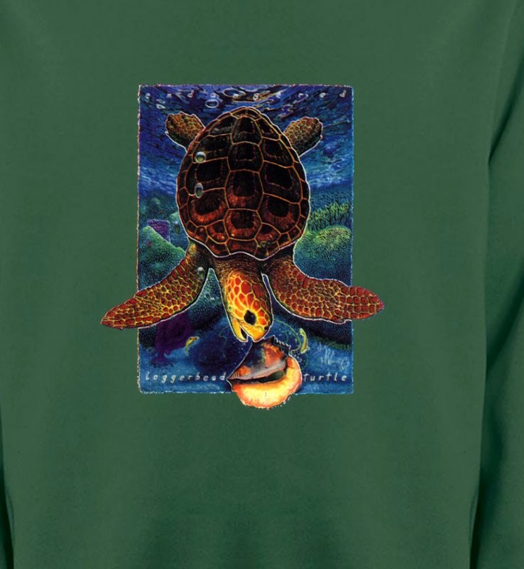 Tortue au fond de la mer