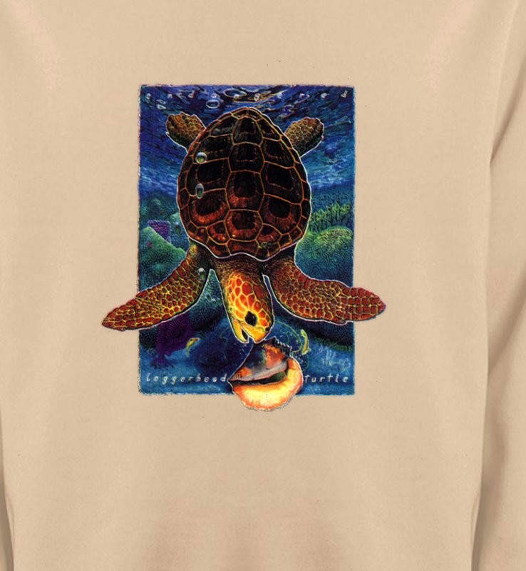 Tortue au fond de la mer