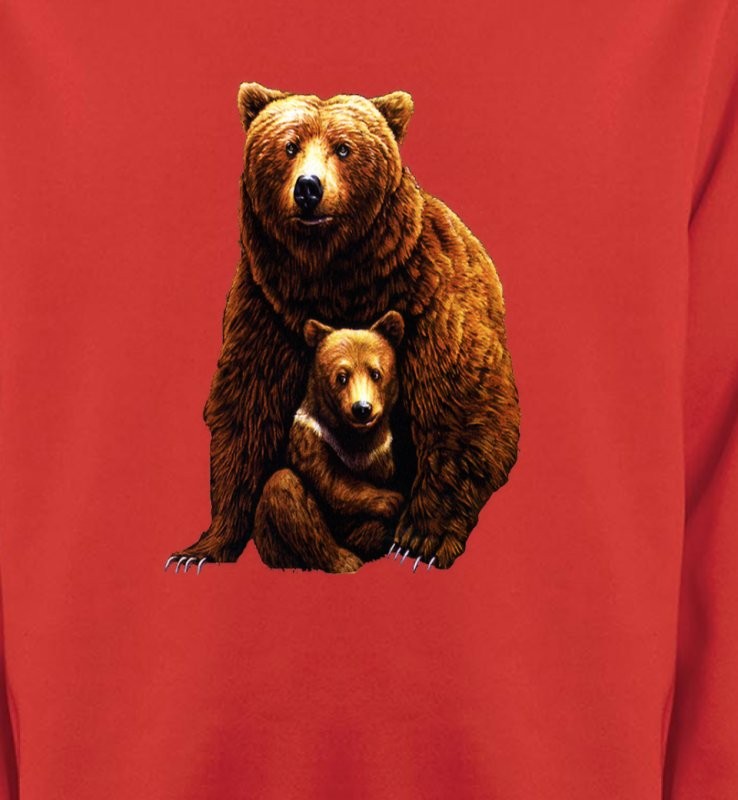 Ours et ourson