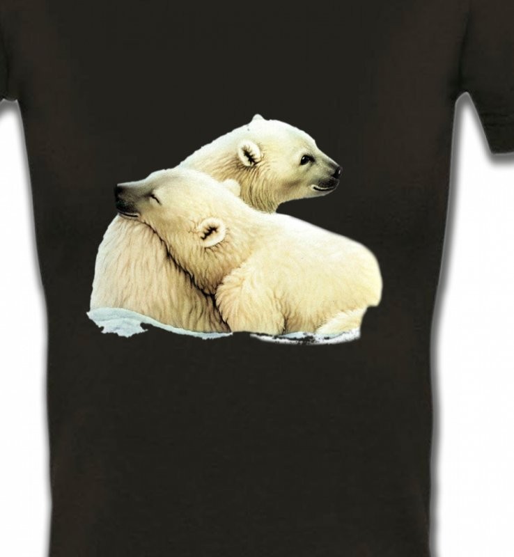 Ours polaire