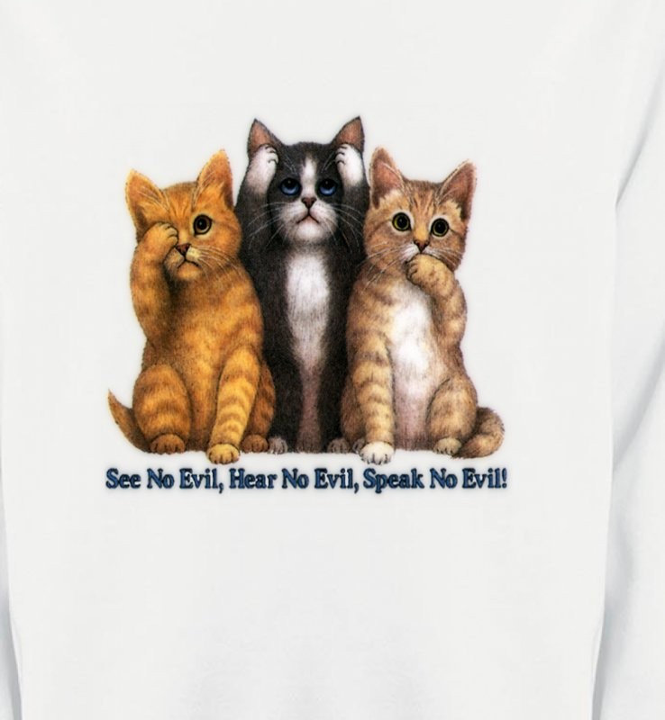 Chatons humour (I)