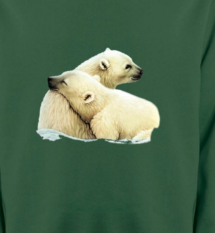 Ours polaire