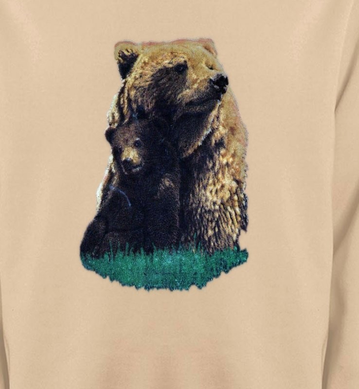Ours brun et son petit