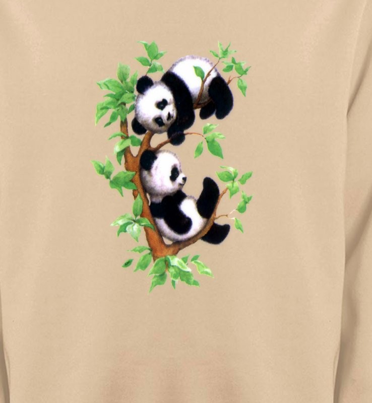 Bébé Pandas (B)