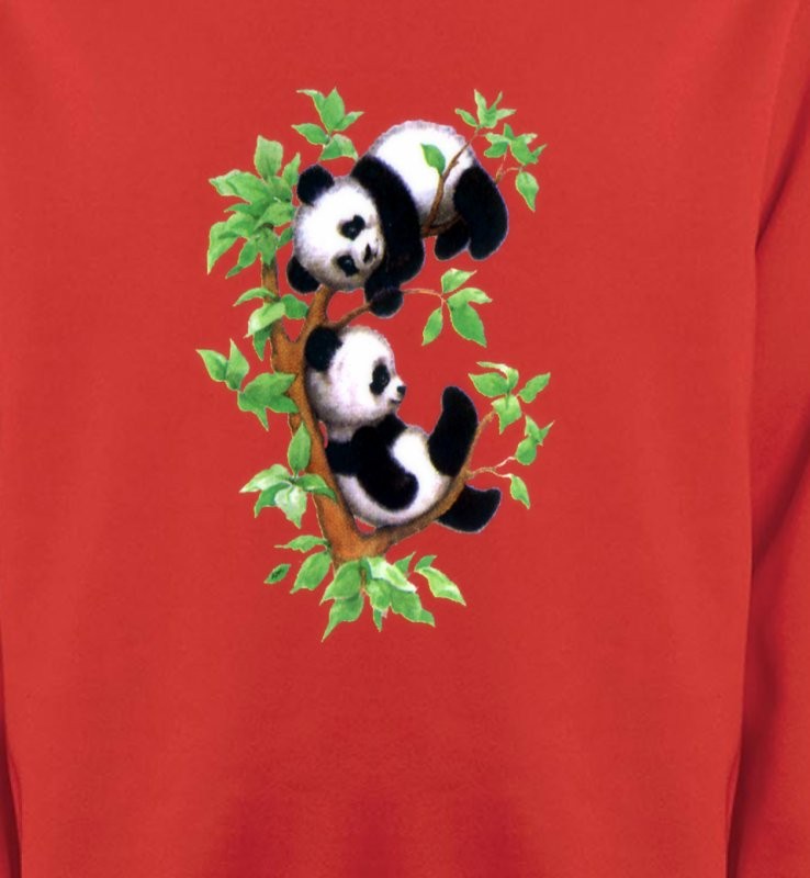 Bébé Pandas (B)