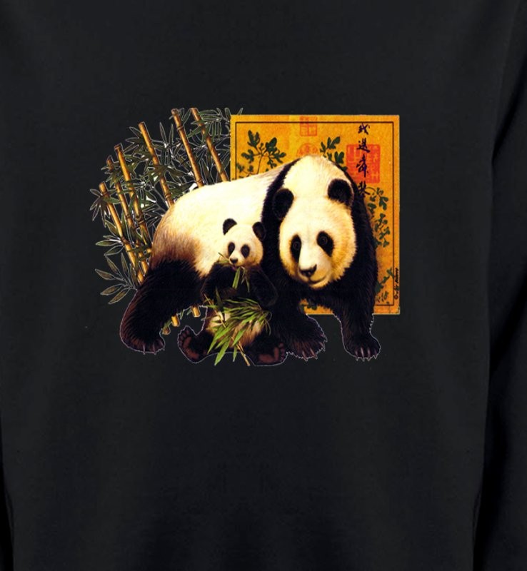 Une maman panda et son petit