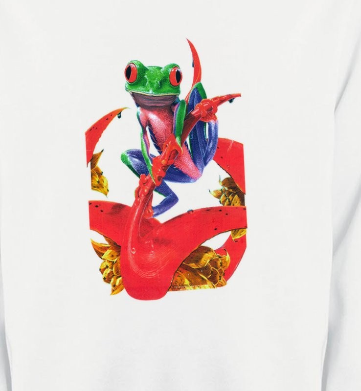 Grenouille (A2)