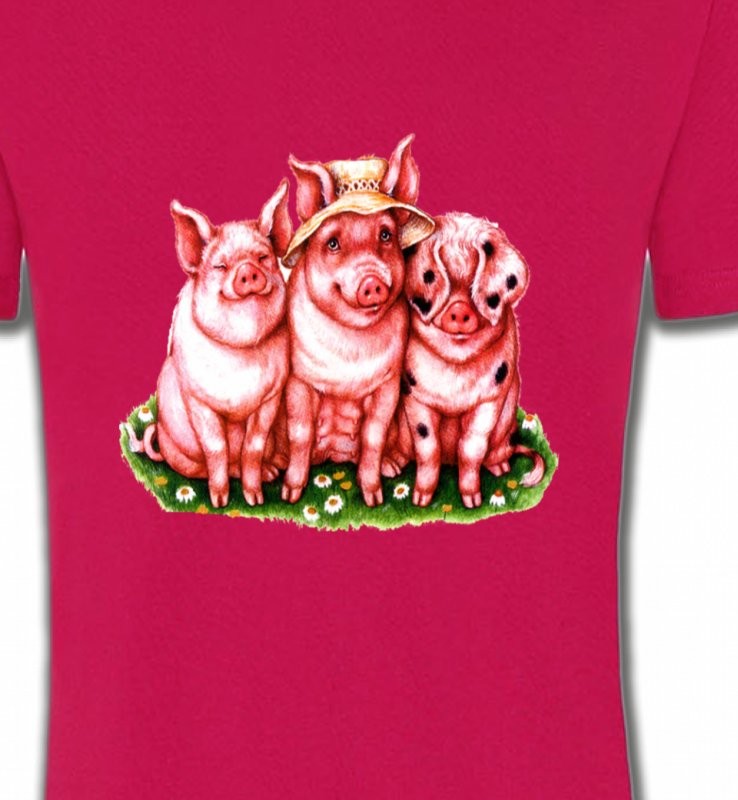 3 cochons (B)
