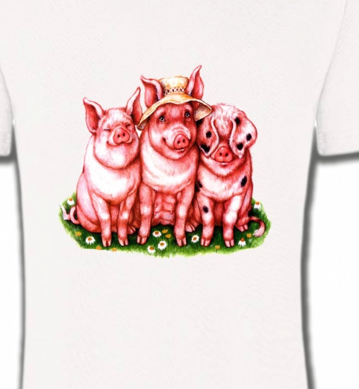 3 cochons (B)