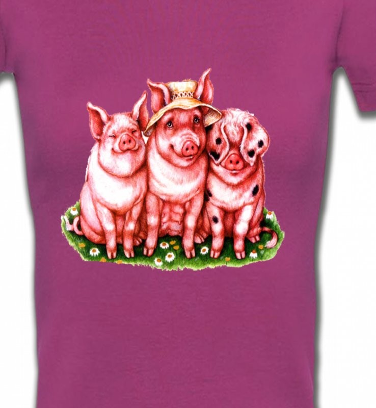 3 cochons (B)