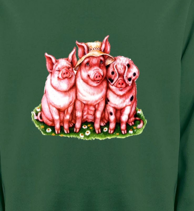 3 cochons (B)
