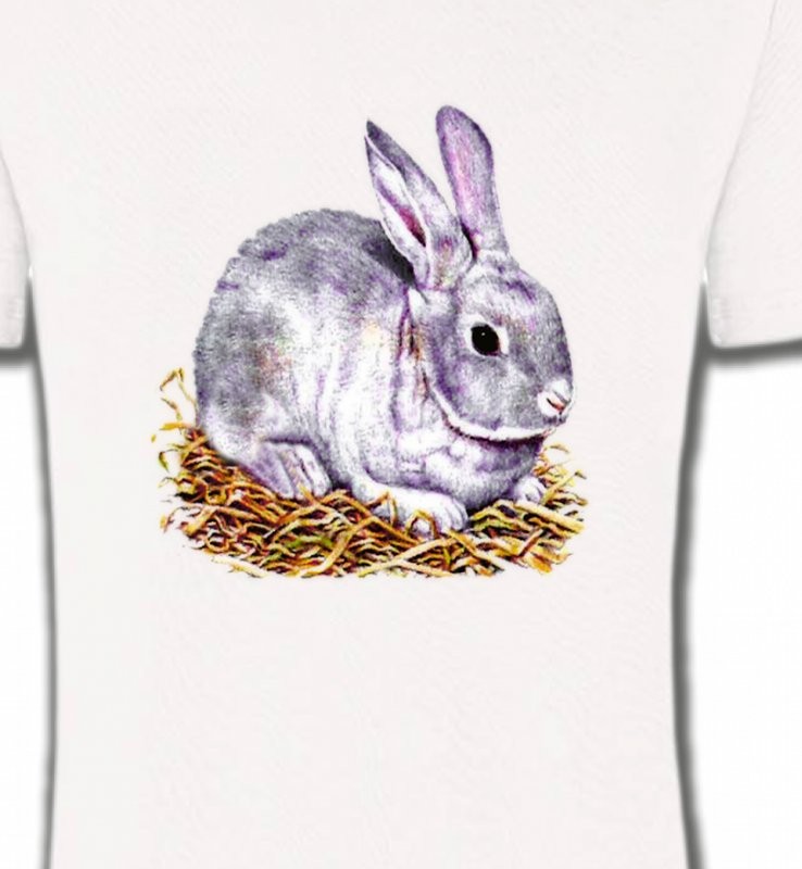 Lapin blanc