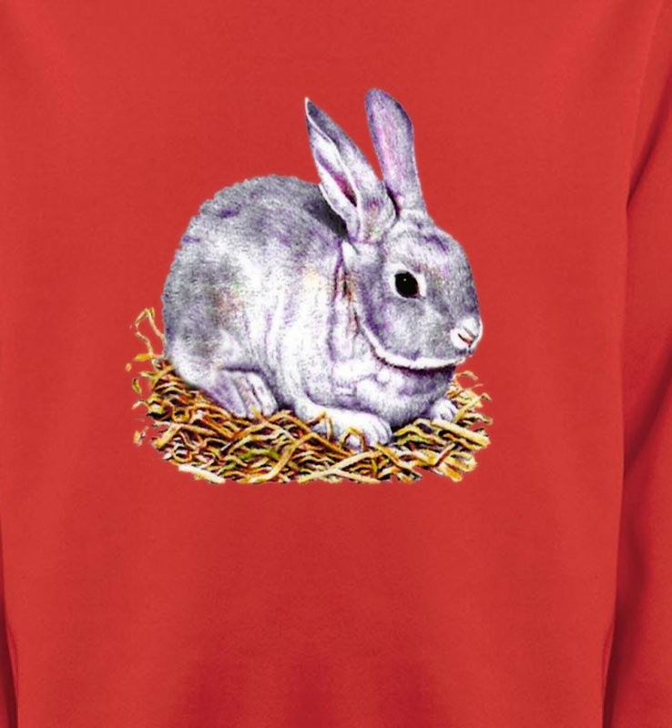 Lapin blanc