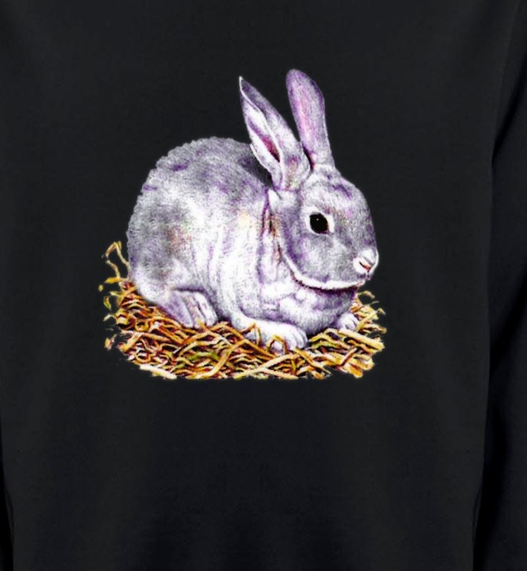 Lapin blanc