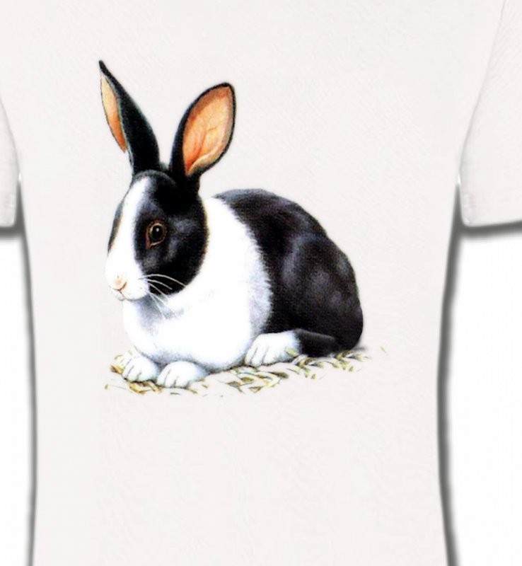 Lapin noir et blanc