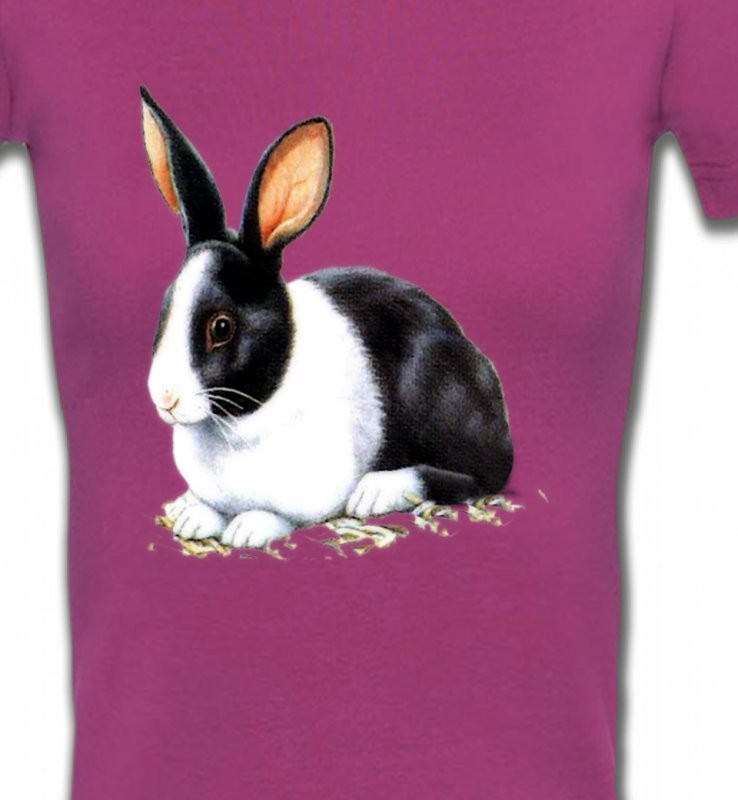 Lapin noir et blanc