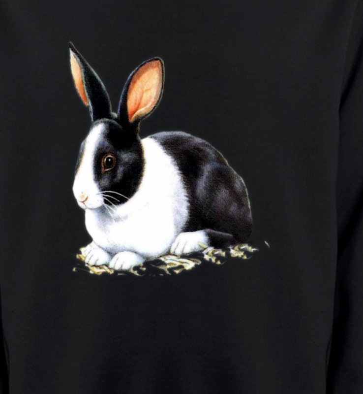 Lapin noir et blanc