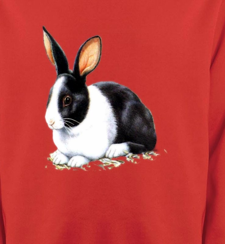 Lapin noir et blanc