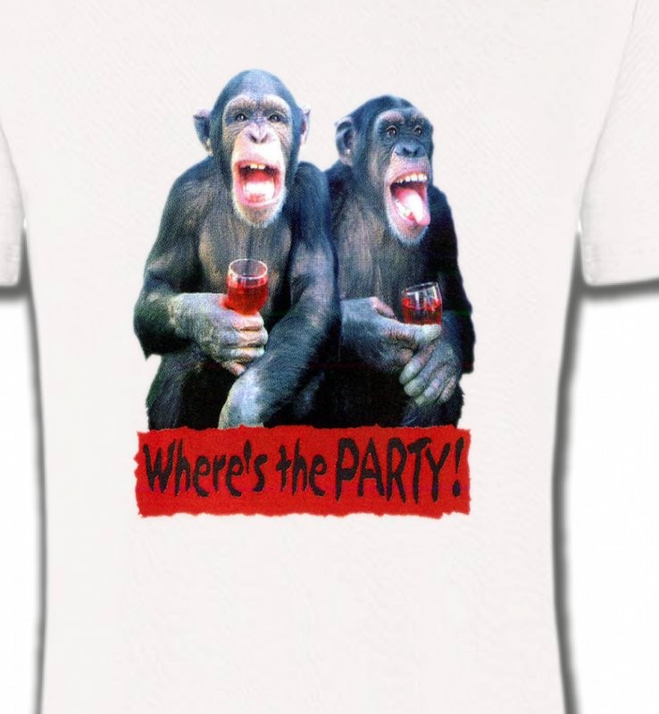 2 Chimpanzés