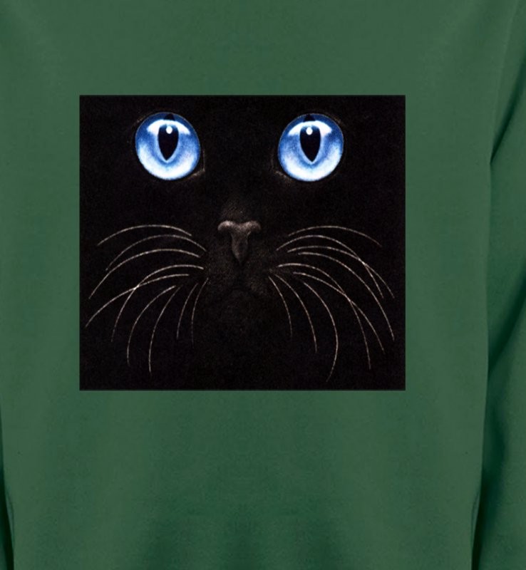 Chat noir yeux bleus (S)