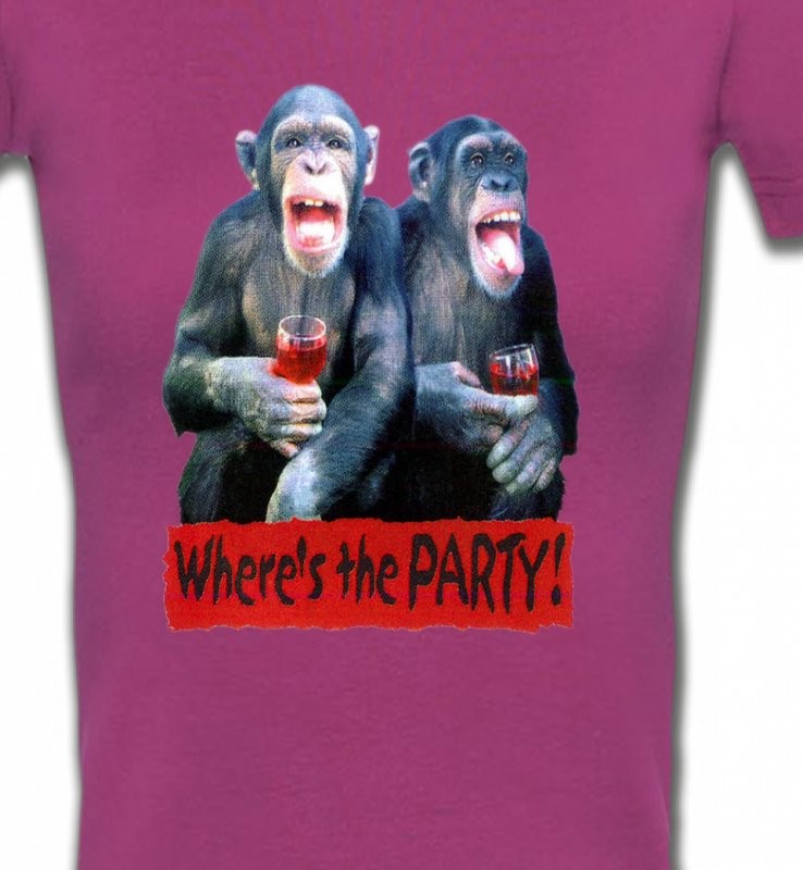 2 Chimpanzés