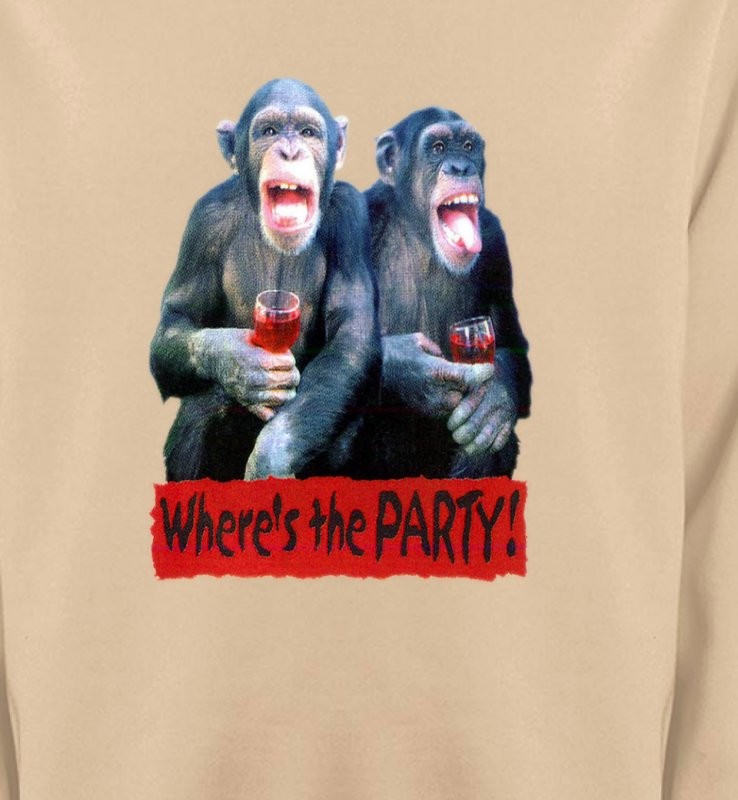 2 Chimpanzés
