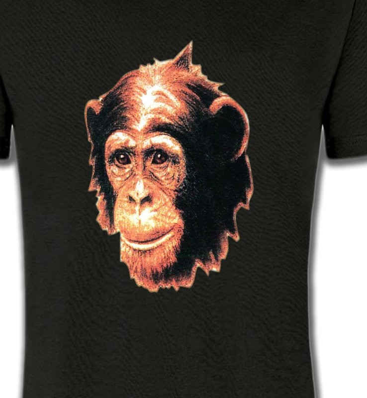 1 Chimpanzé