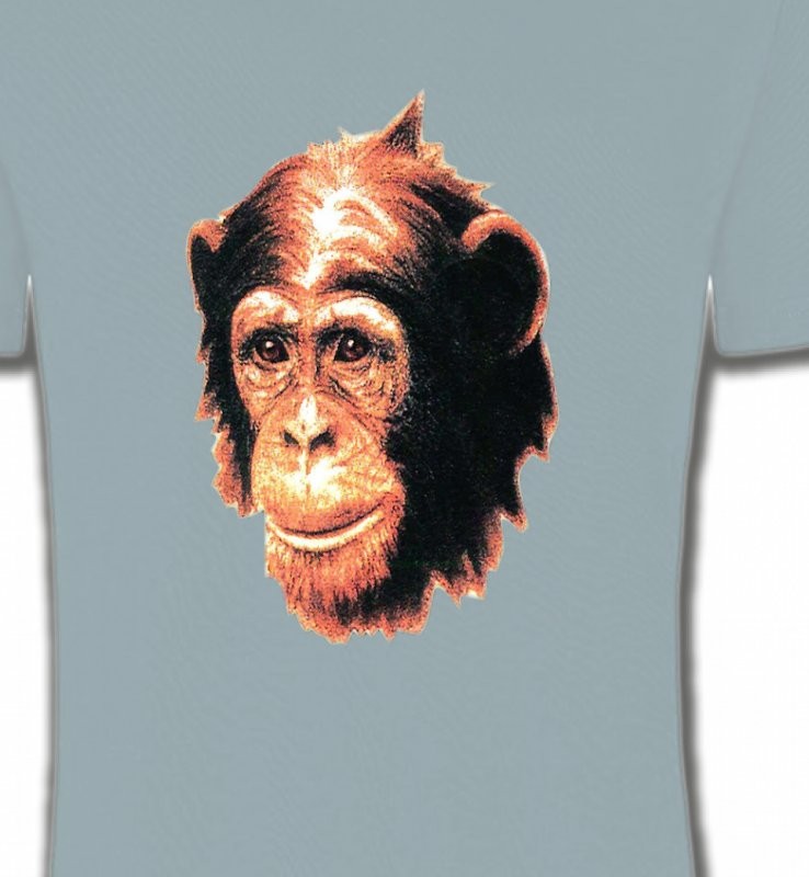 1 Chimpanzé