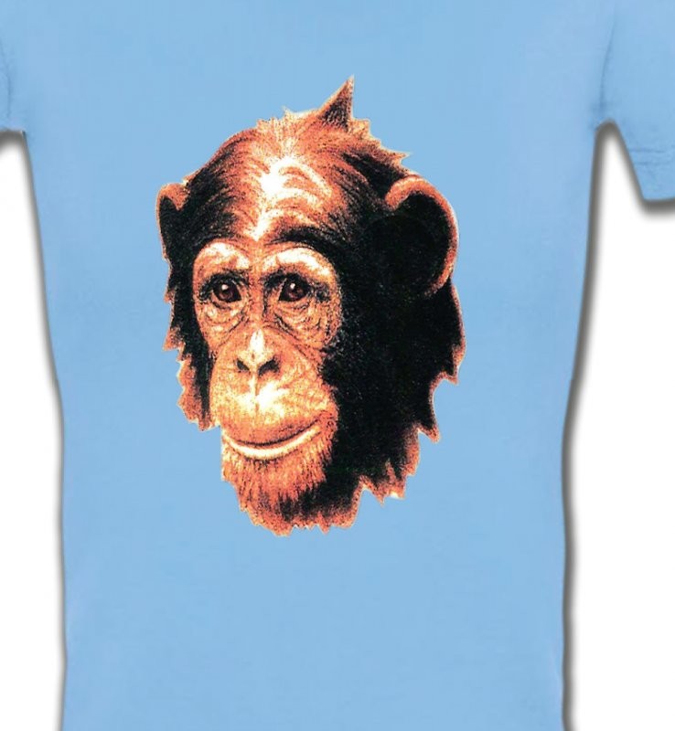 1 Chimpanzé