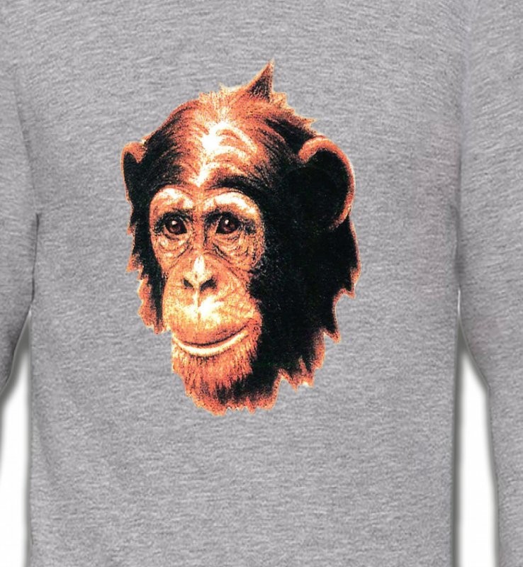 1 Chimpanzé