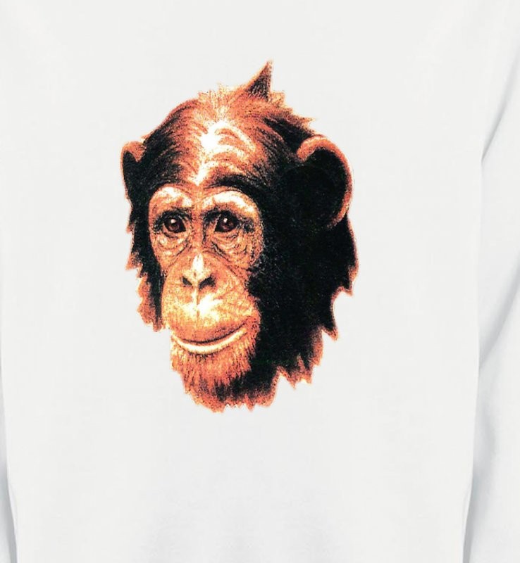 1 Chimpanzé