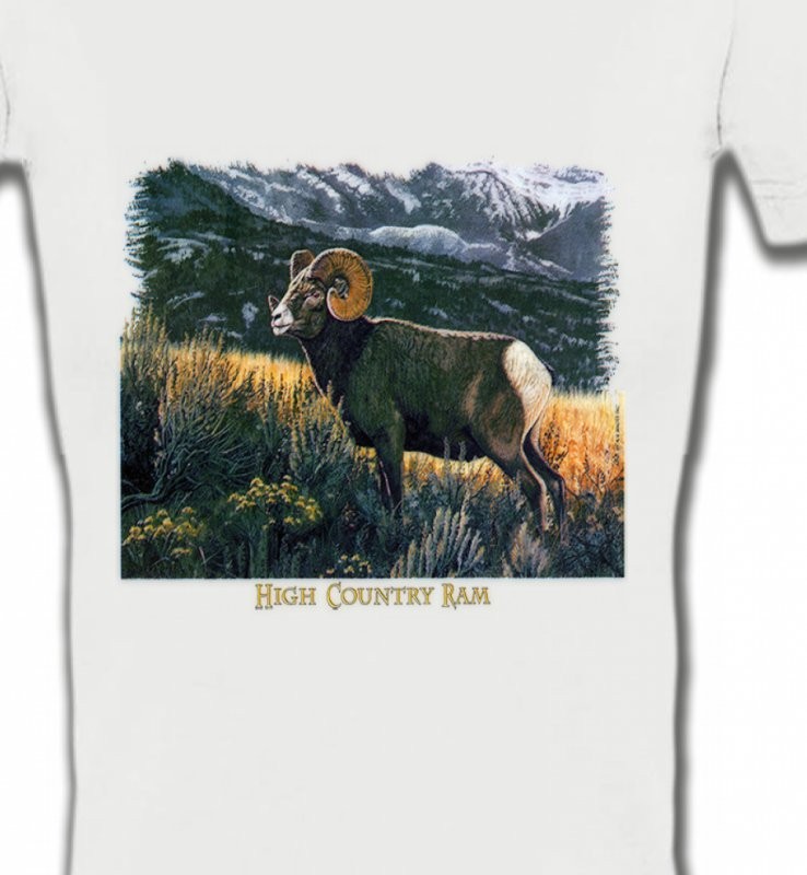 Bélier sauvage (mouflon)