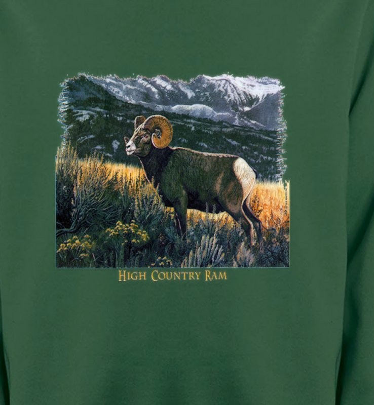 Bélier sauvage (mouflon)