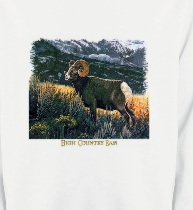 Bélier sauvage (mouflon)