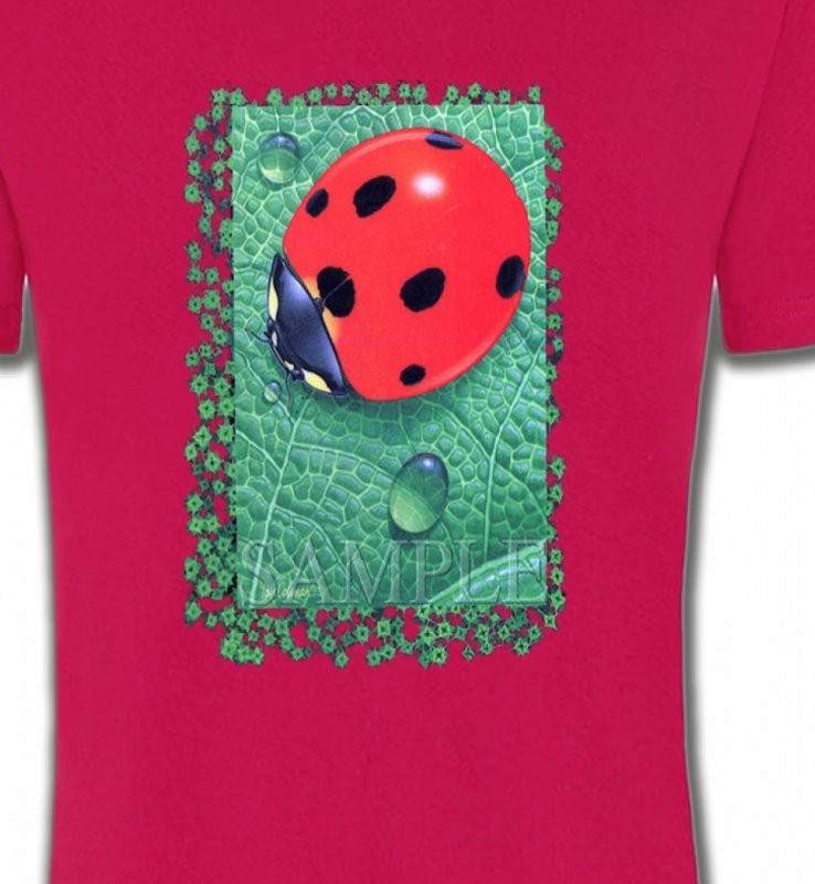 Coccinelle