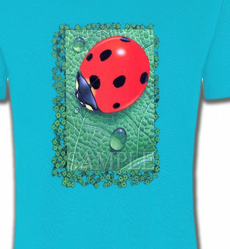 Coccinelle