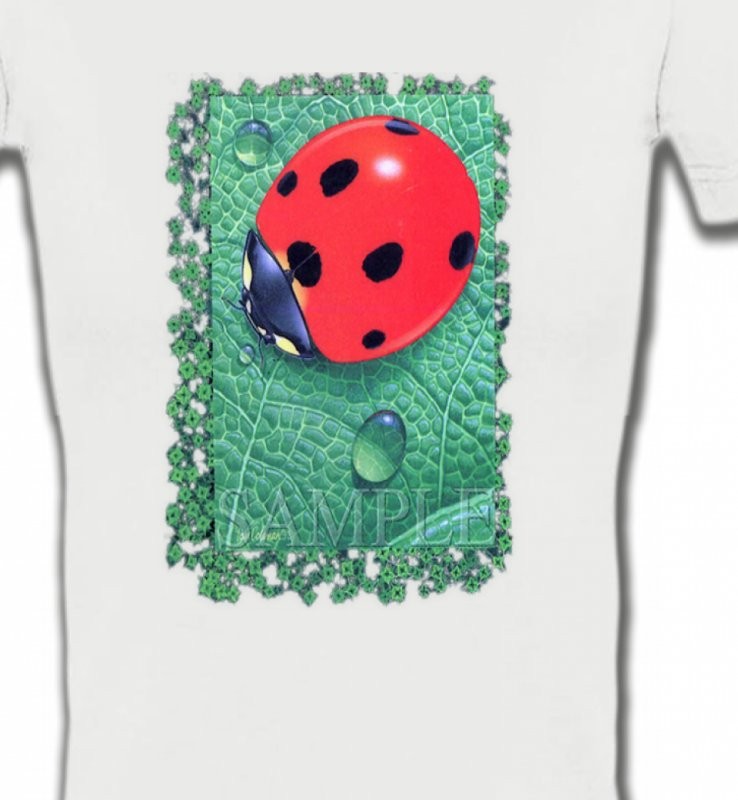 Coccinelle