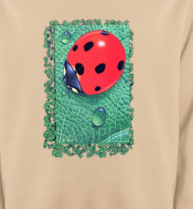 Coccinelle