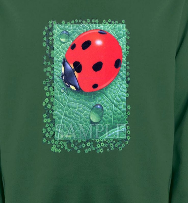 Coccinelle