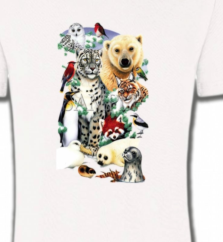 Divers animaux