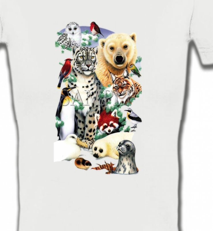 Divers animaux