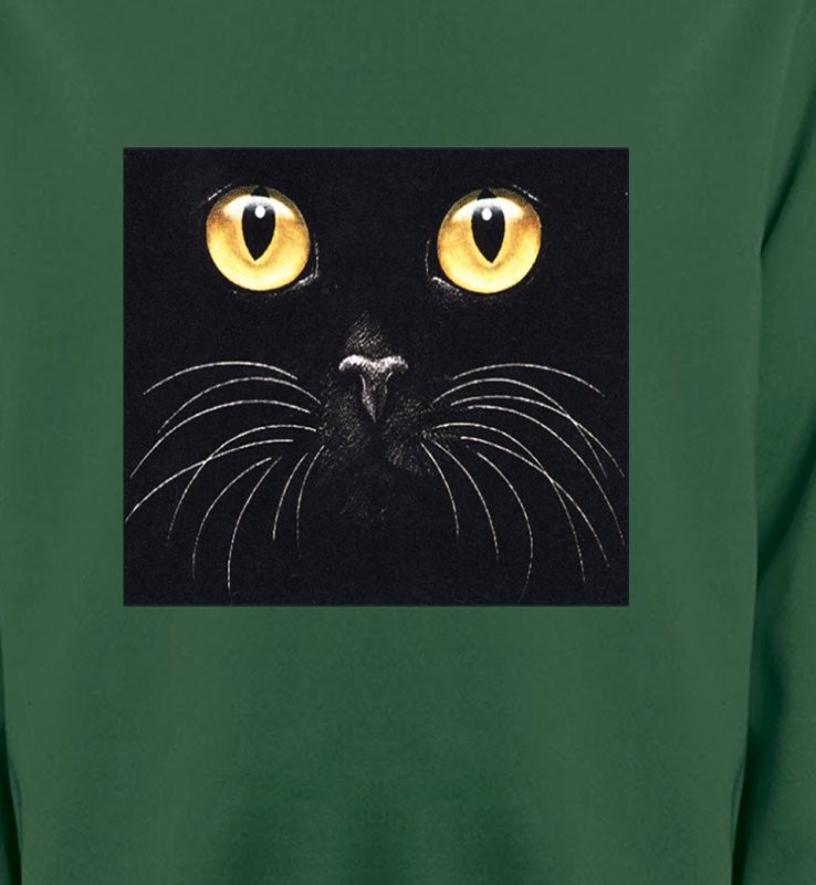Chat noir (H1)