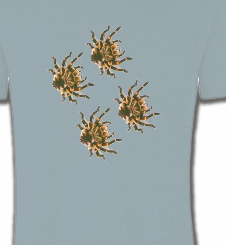 Araignées