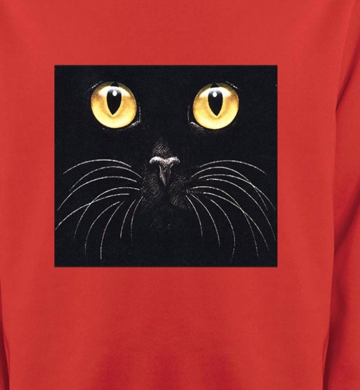 Chat noir (H1)